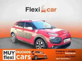 Citroën C4 Cactus BlueHDi 73KW (100CV) Rip Curl, 10.490 €