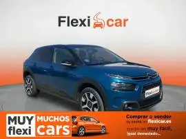 Citroën C4 Cactus PureTech 110 S&S Shine, 11.990 €