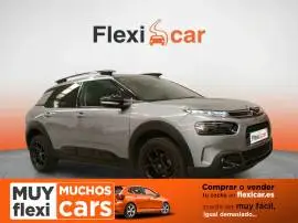 Citroën C4 Cactus PureTech 110 S&S Shine, 12.290 €