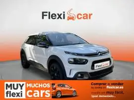 Citroën C4 Cactus PureTech 110 S&S Shine, 13.890 €