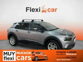 Citroën C4 Cactus BlueHDi 100 S&S Business, 12.480 €