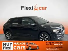 Citroën C4 Cactus BlueHDi 73KW (100CV) Business, 11.490 €