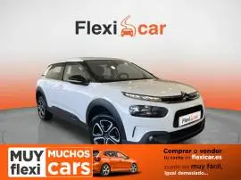 Citroën C4 Cactus BlueHDi 100 S&S Feel, 12.990 €