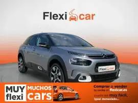 Citroën C4 Cactus BlueHDi 100 S&S Shine Pack, 13.490 €