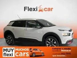 Citroën C4 Cactus BlueHDi 100 S&S Business, 12.990 €