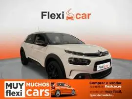 Citroën C4 Cactus PureTech 110 S&S Feel, 12.790 €