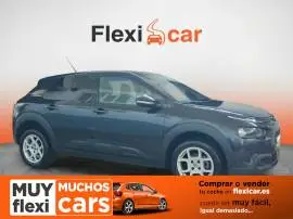 Citroën C4 Cactus BlueHDi 73KW (100CV) Business, 12.980 €