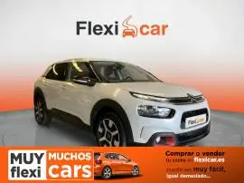 Citroën C4 Cactus BlueHDi 73KW (100CV) Live, 12.390 €